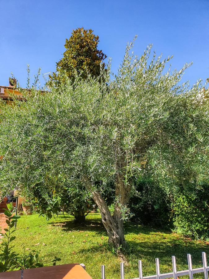 Villa Elsa, Cesena Zona Ippodromo Esterno foto