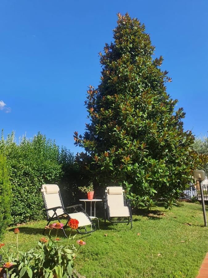 Villa Elsa, Cesena Zona Ippodromo Esterno foto