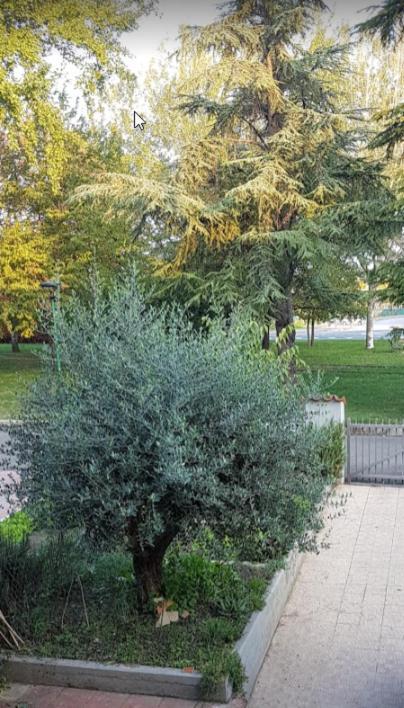 Villa Elsa, Cesena Zona Ippodromo Esterno foto