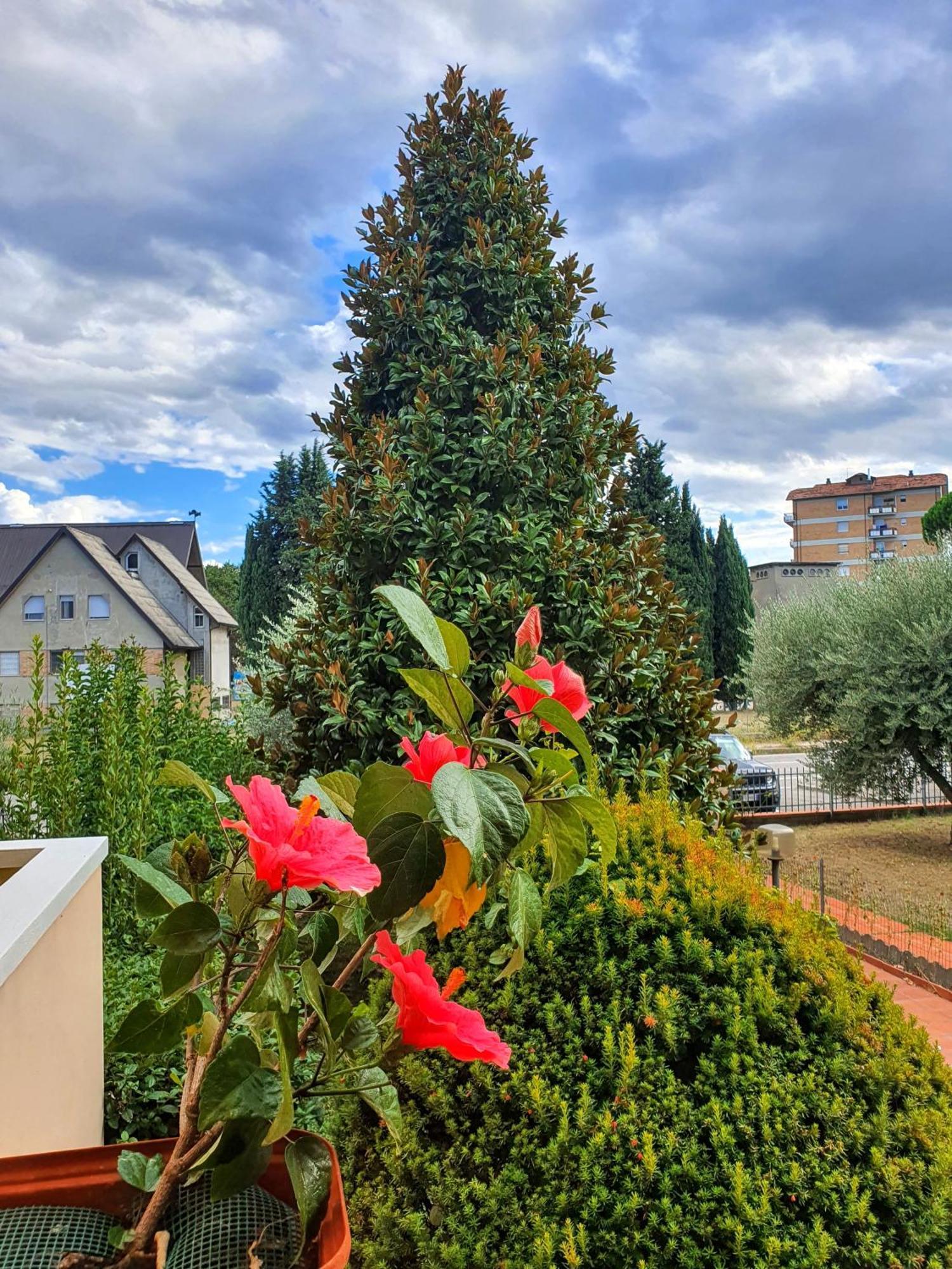 Villa Elsa, Cesena Zona Ippodromo Esterno foto