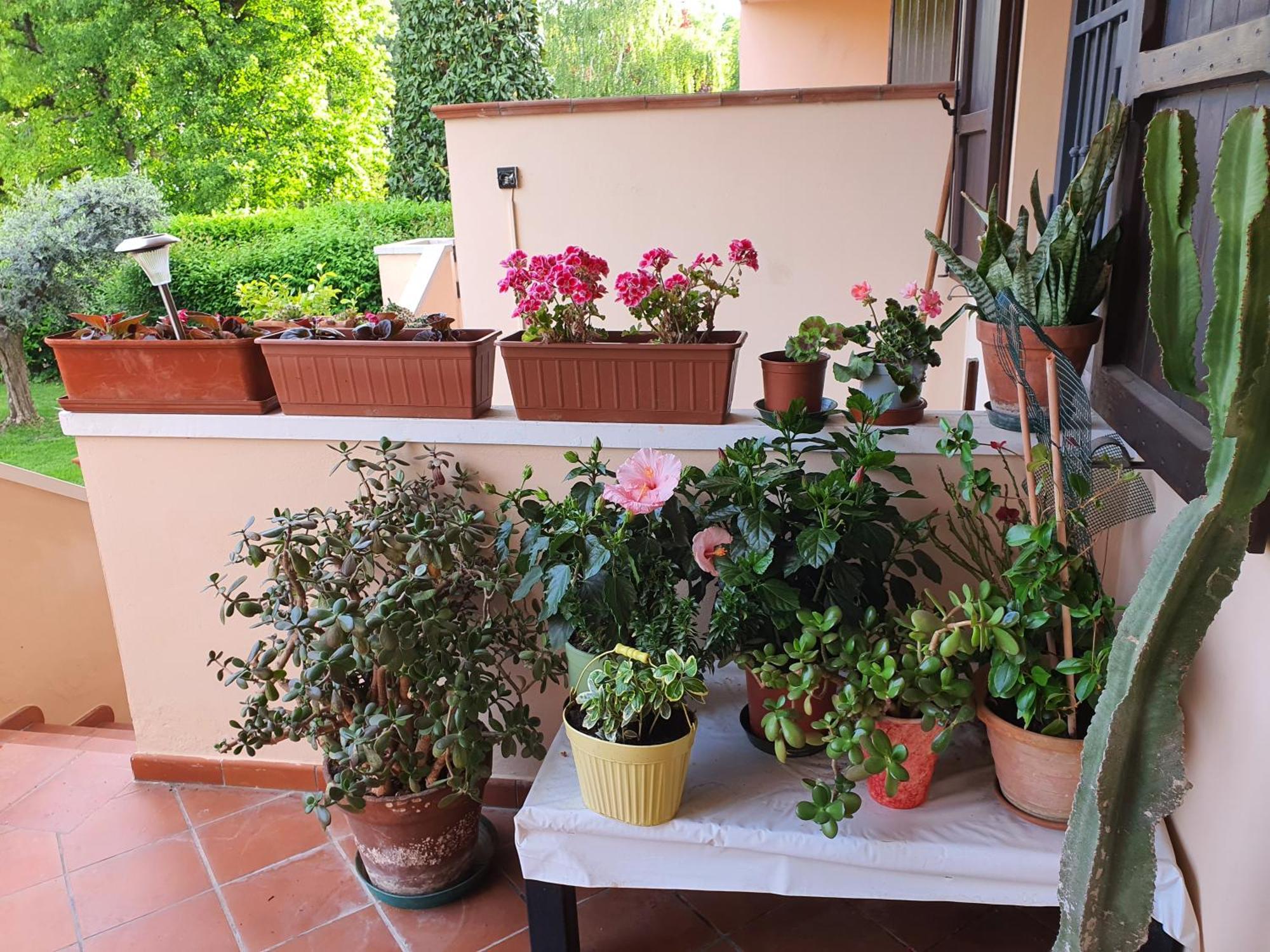 Villa Elsa, Cesena Zona Ippodromo Esterno foto